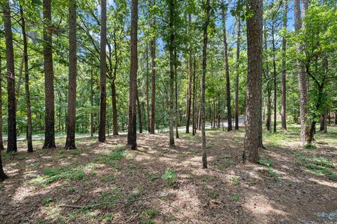 Little Rock Timber Land