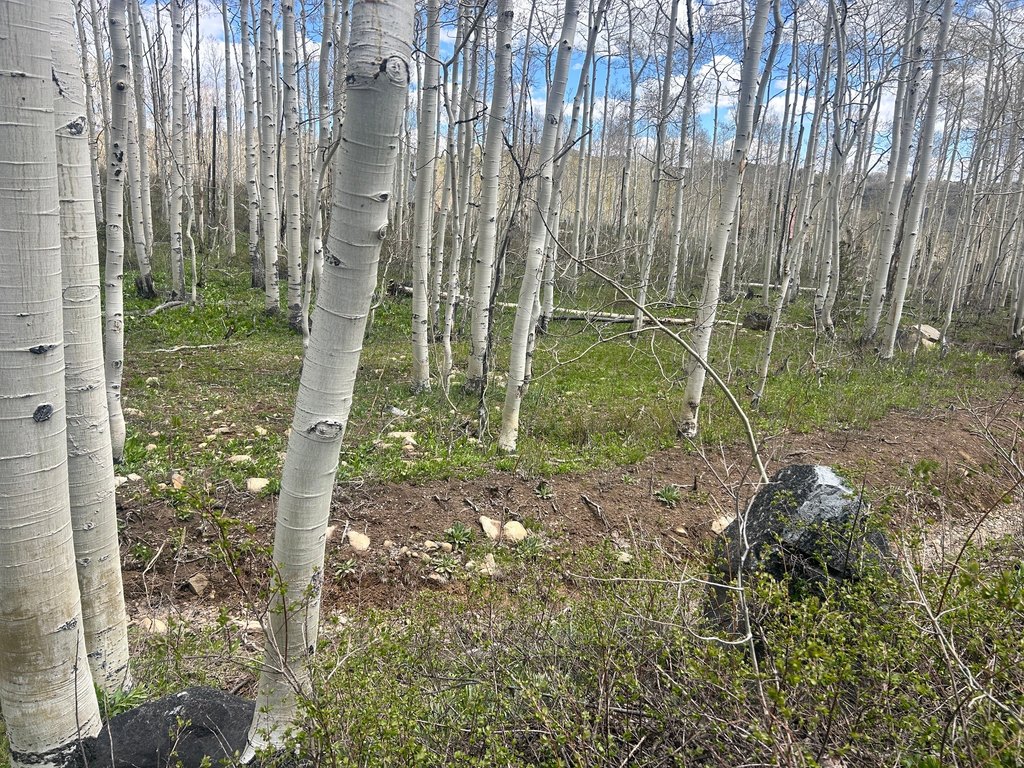Picture 4
