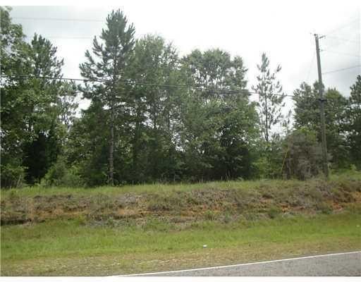 20 Acres of Rolling Hills
