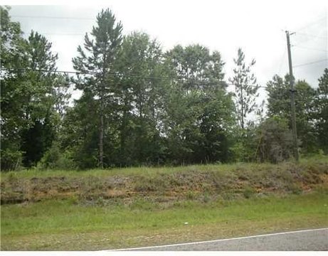20 Acres of Rolling Hills