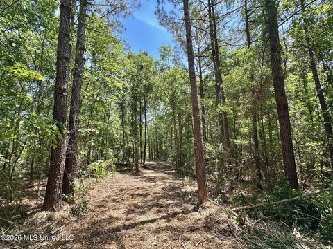 LAND - Magee, MS