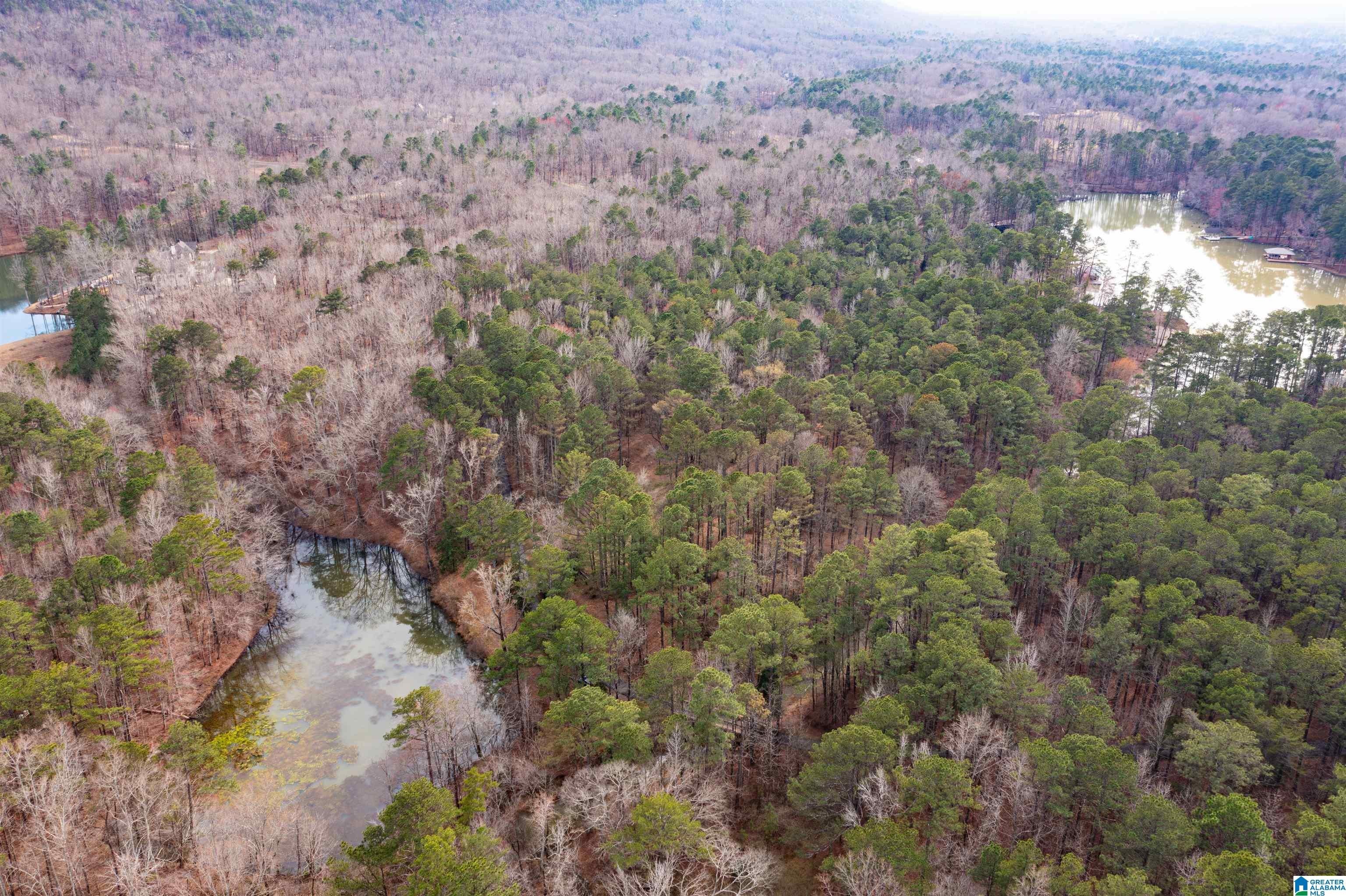 Private Gated Acreage Near Lake