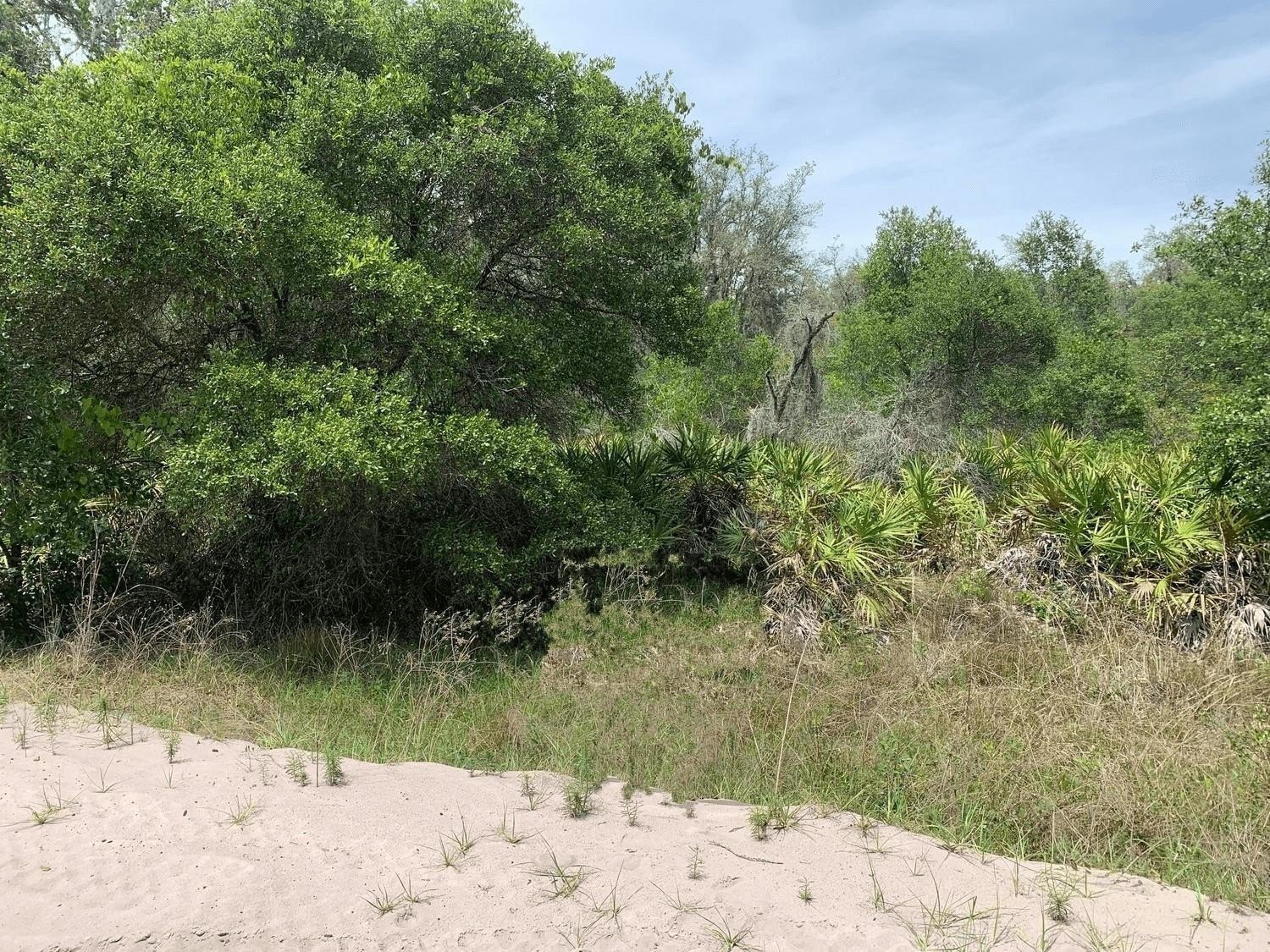 Recreational Land in Kathleen, Florida