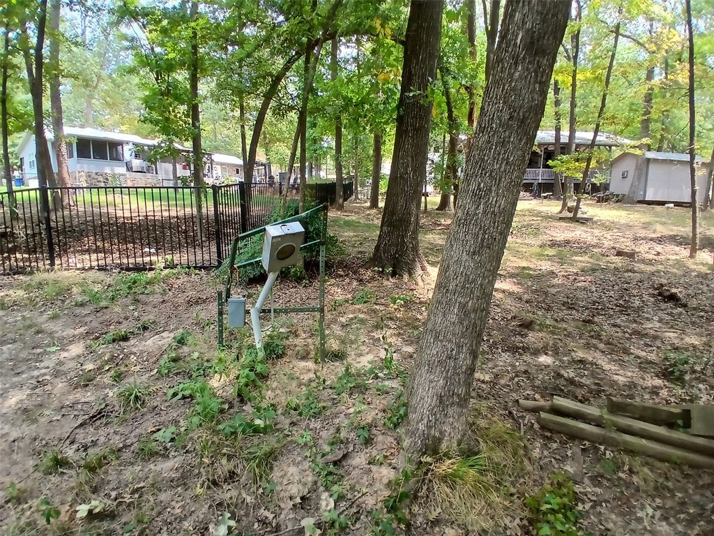 Picture 15