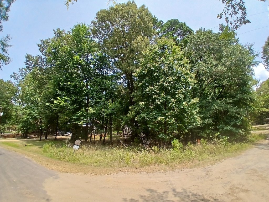 Picture 4