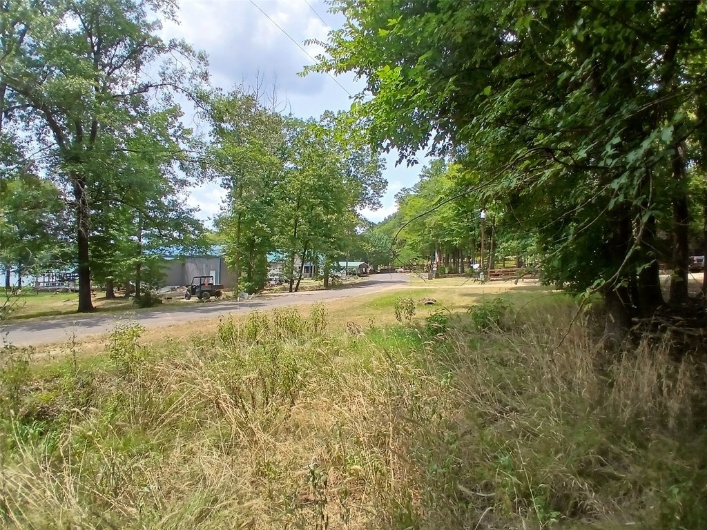 Picture 19