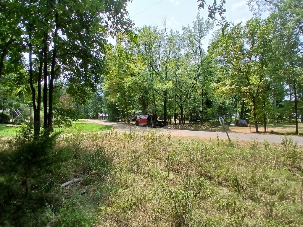Picture 18