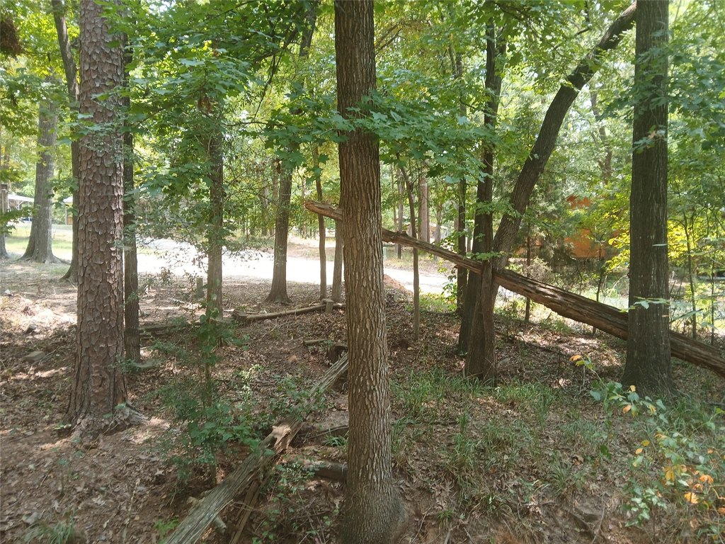 Picture 17