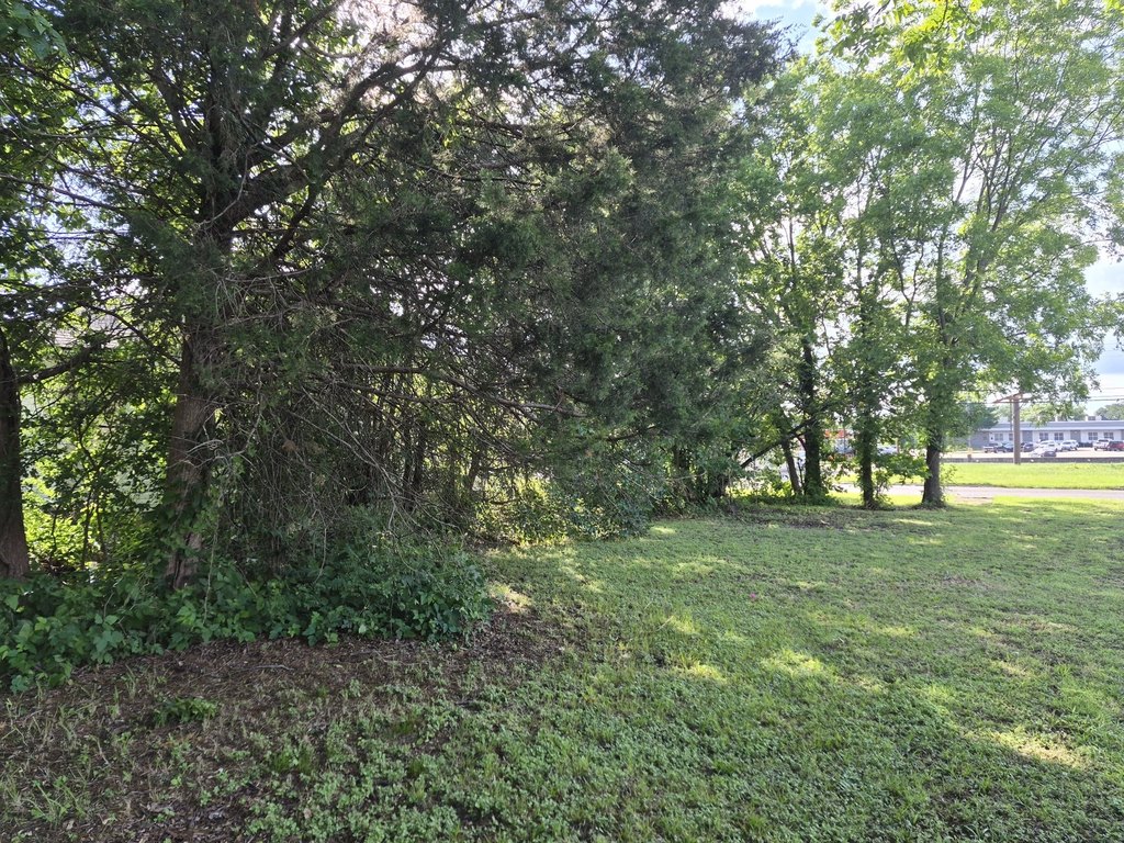 Picture 3