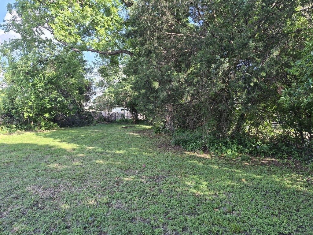 Picture 5