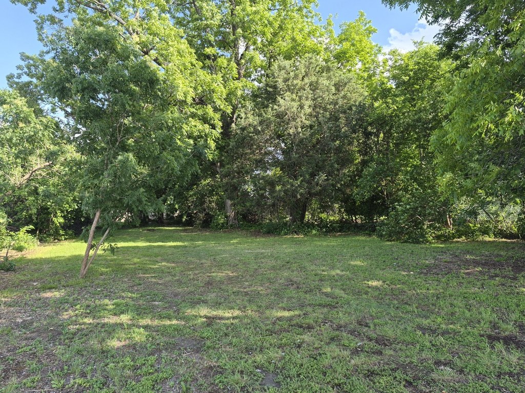 Picture 6