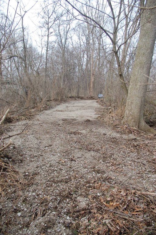 Picture 25