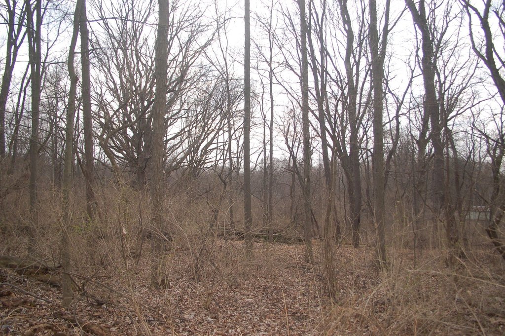 Picture 22