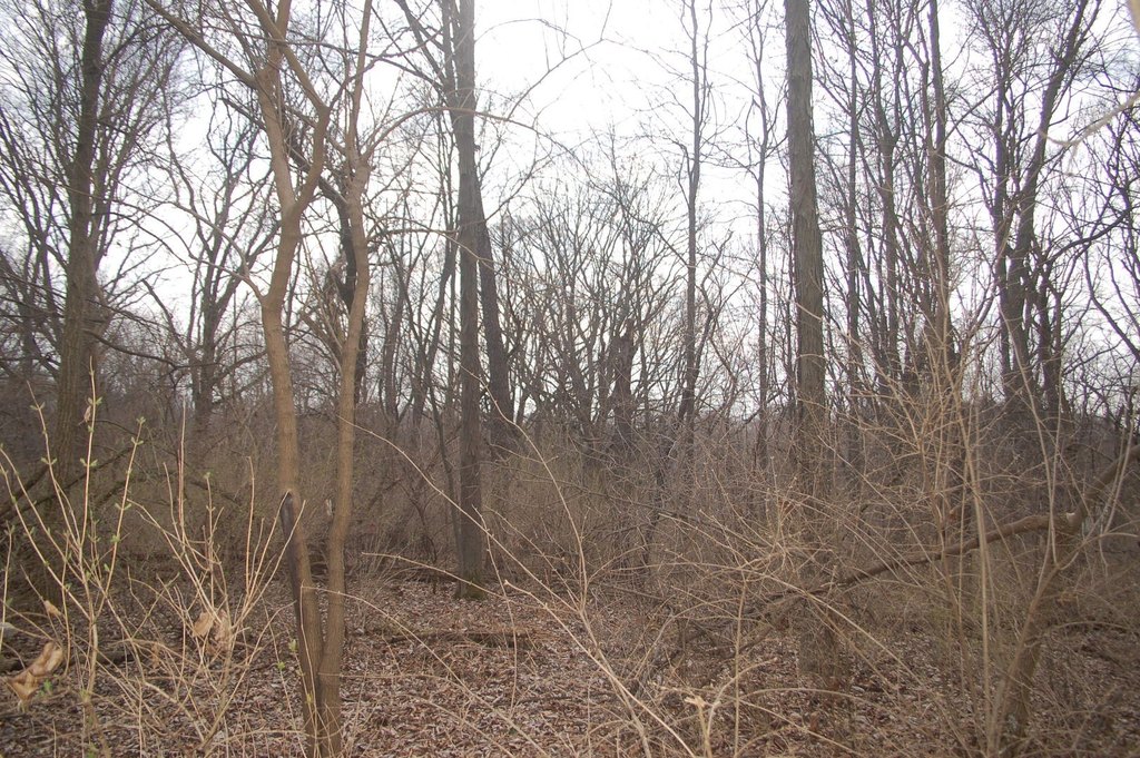 Picture 21