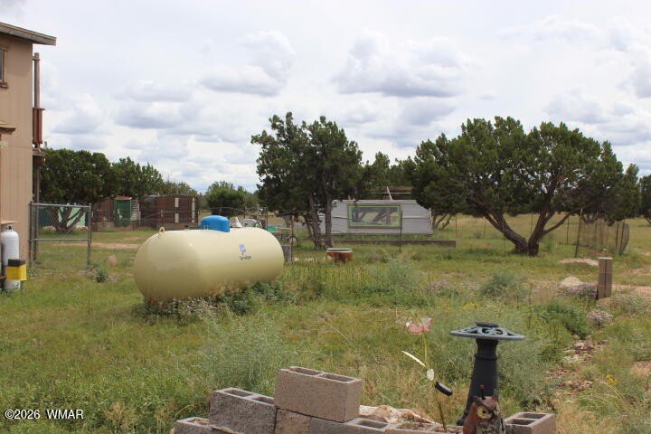 Picture 4
