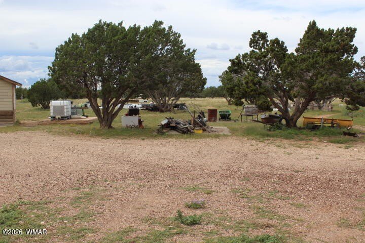 Picture 5