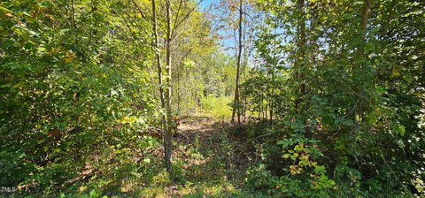 Land Near Stone Mountain Park