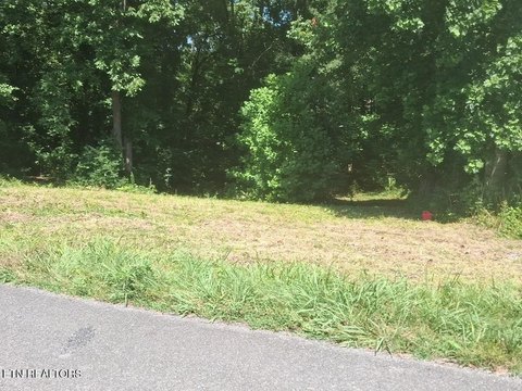 Residential Lot in White Pine