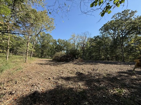 Land, Wheatland, MO