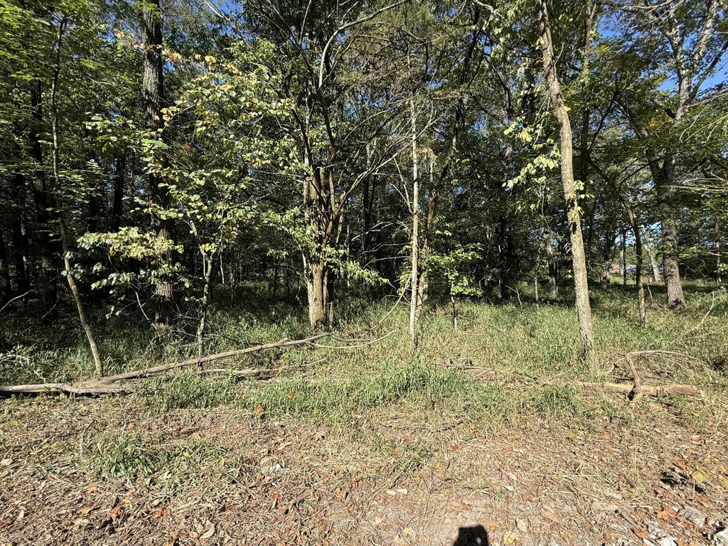Picture 4