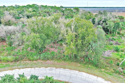 Vacant Lot in LaBelle, FL