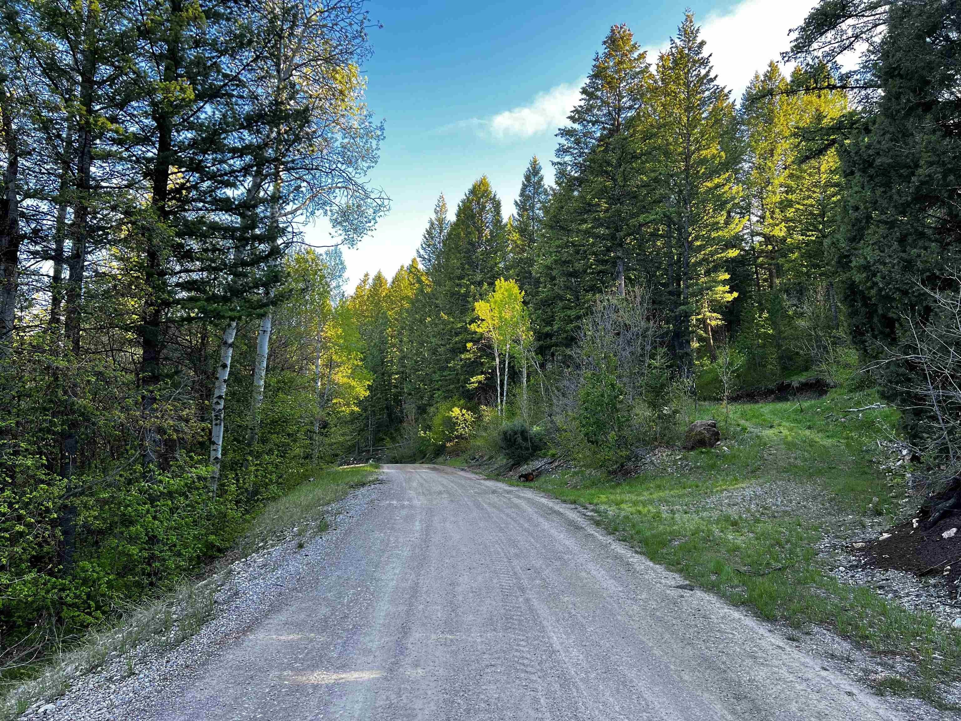 Forested Lot in Lava Ranch