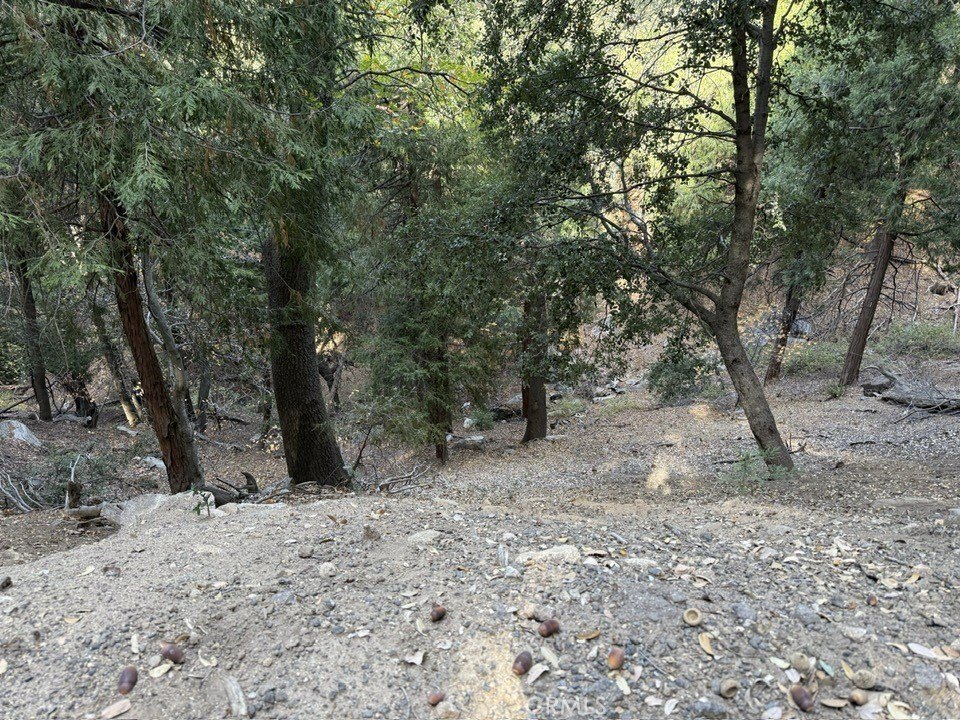 Picture 3