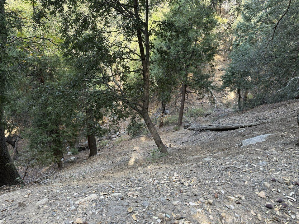 Picture 8
