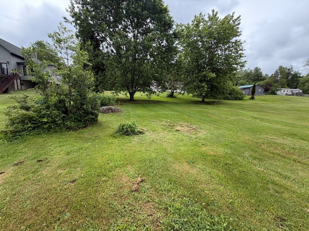 Picture 5