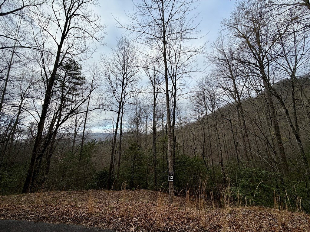 Picture 2
