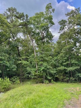 LAND - Heber Springs, AR