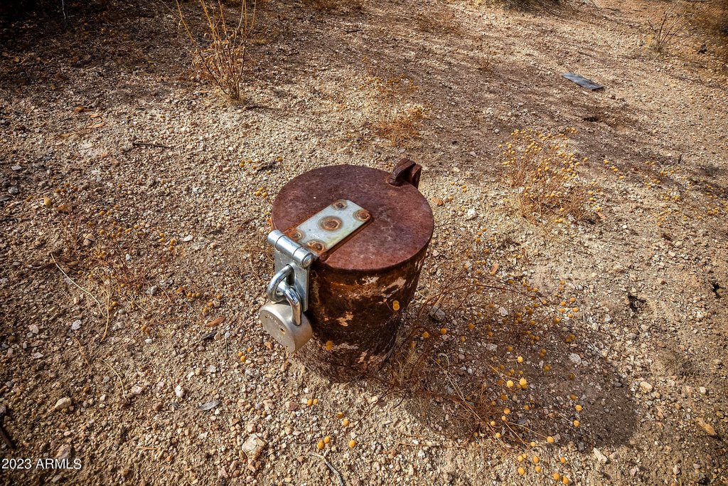 Picture 30
