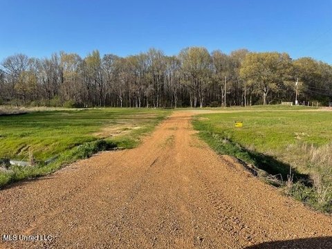 Commercial Land Near Interstate 55