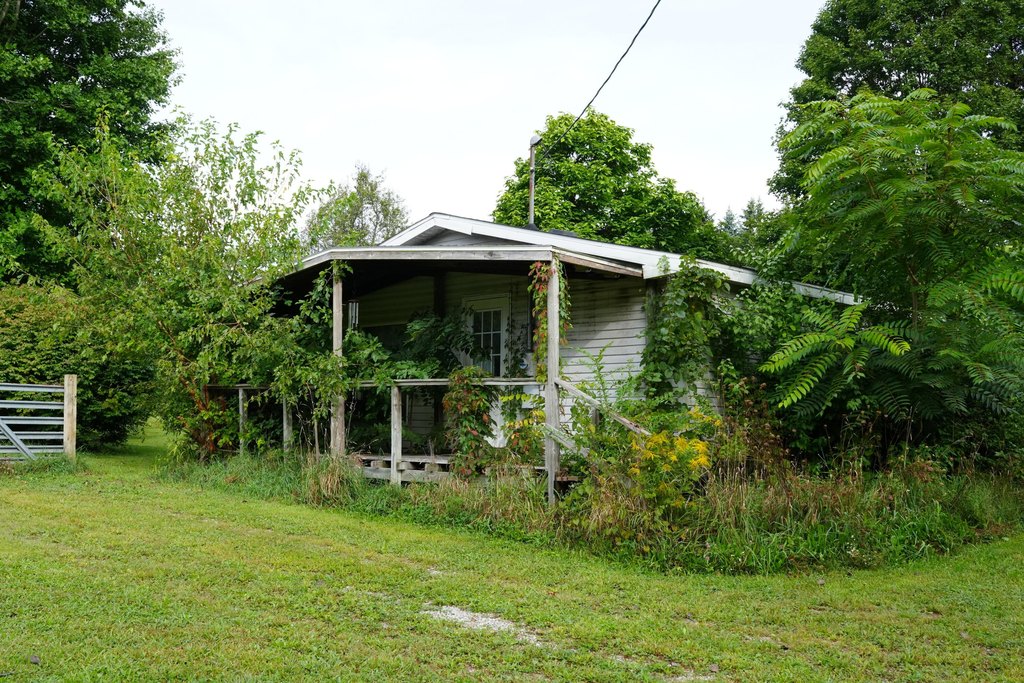 Picture 8