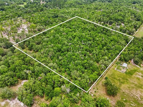 Wooded Acreage Homesite Land
