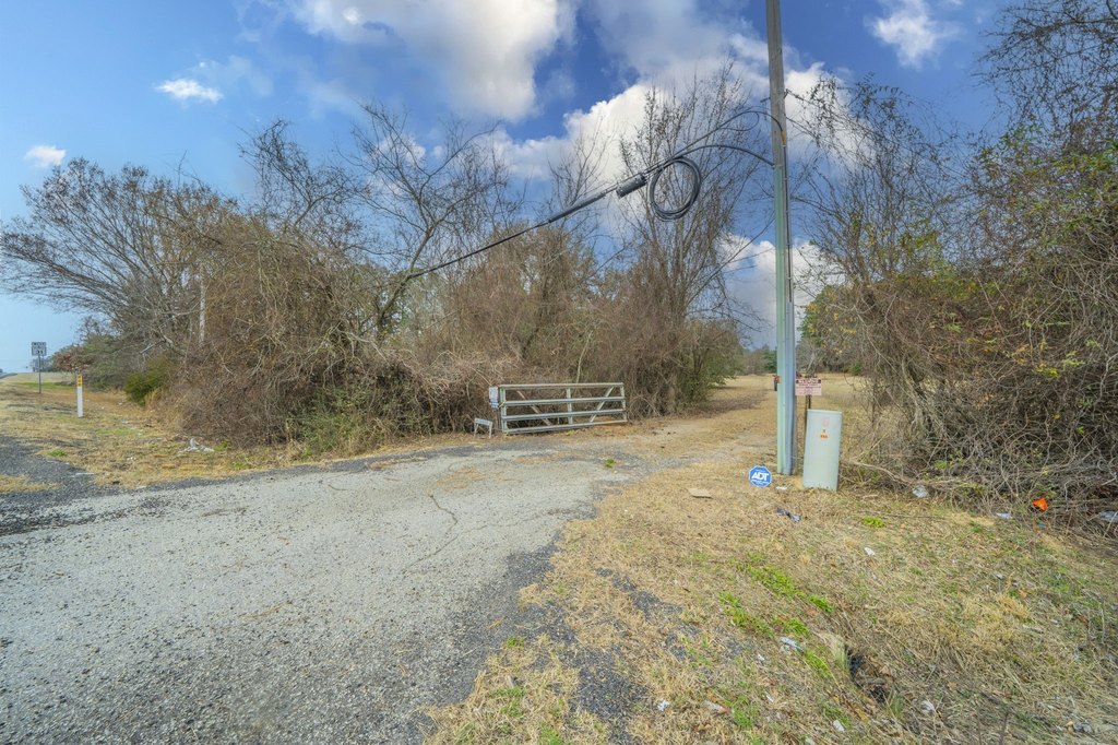 Picture 9
