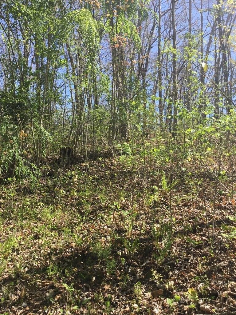 Residential Land in Bryson City