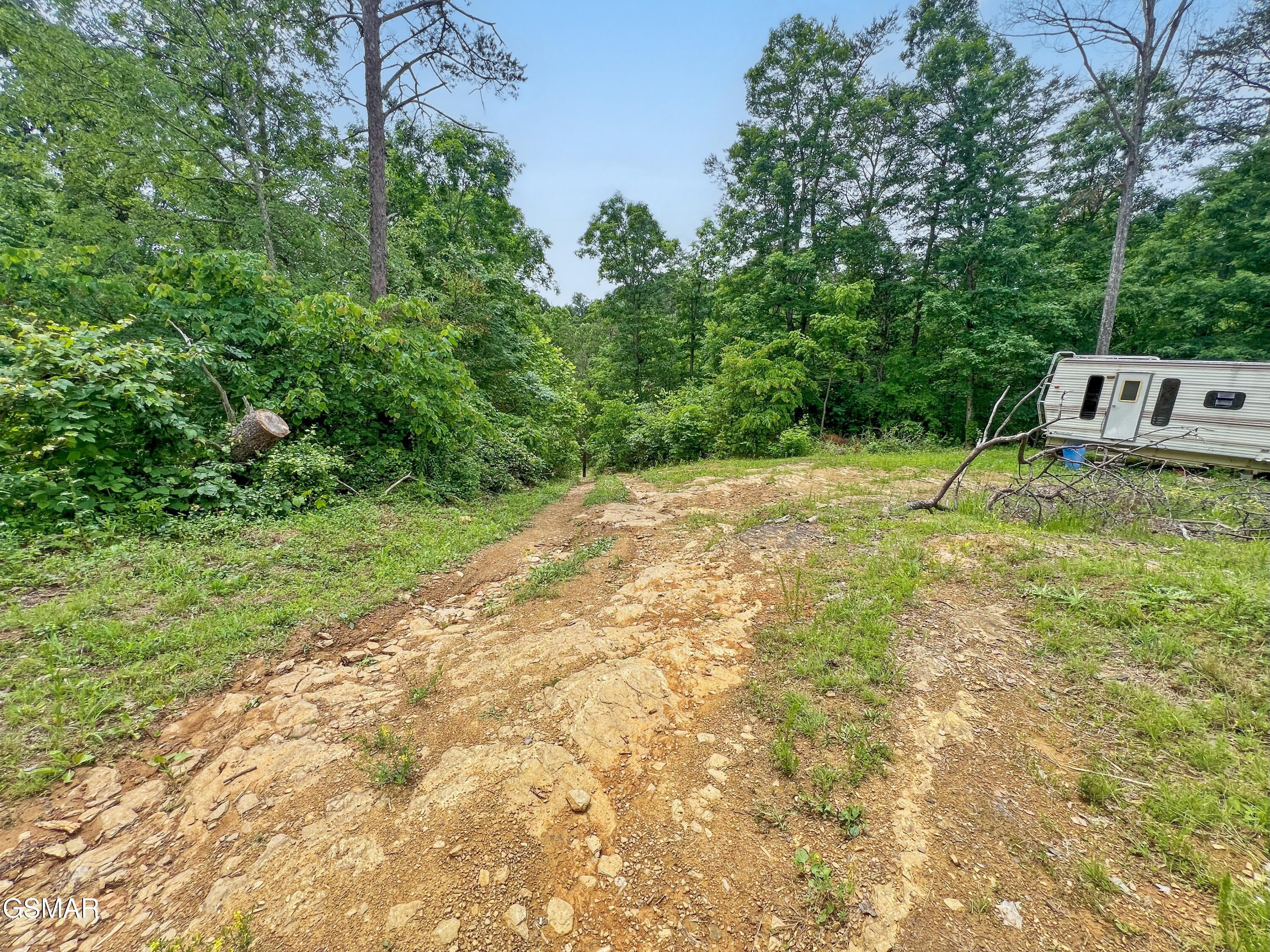 Bulls Gap Land with Stream