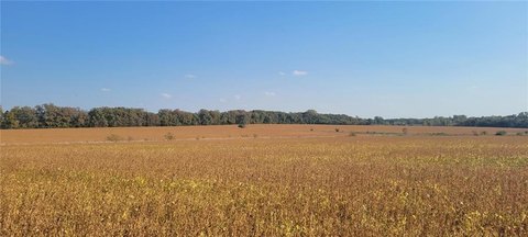 Close-In Acreage on Asphalt