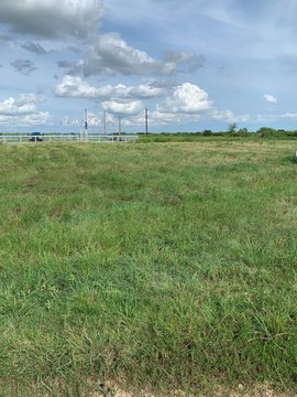 Residential Lot in Palacios, TX