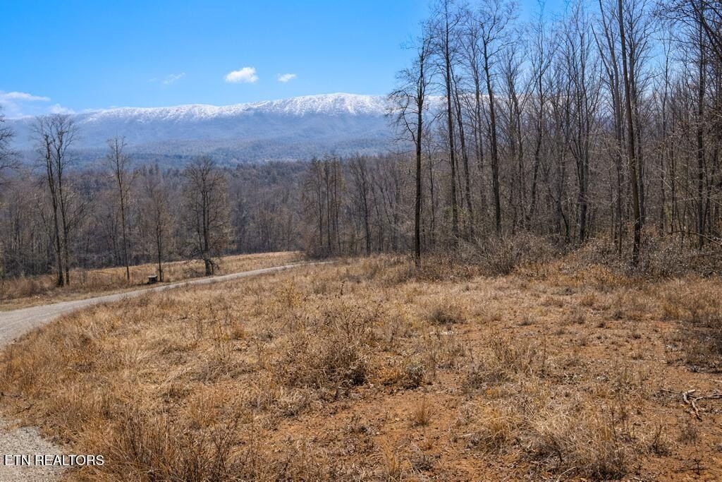 Maryville, TN Land with Views