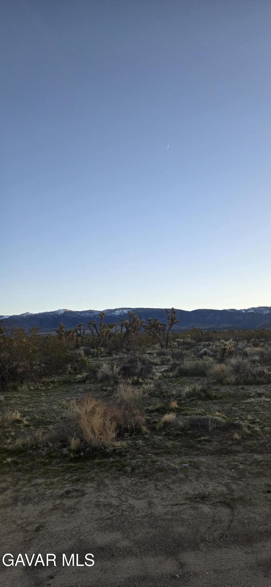 Palmdale Vacant Land For Sale