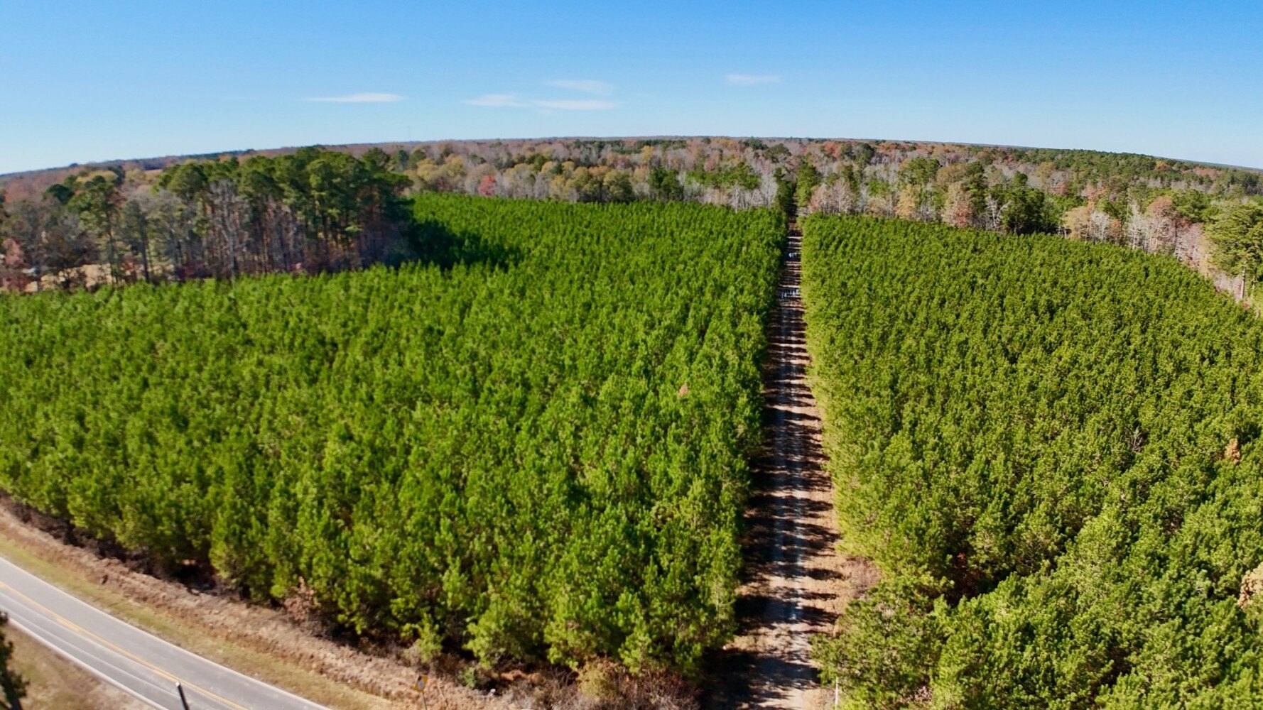67-Acre Land Near Meherrin River