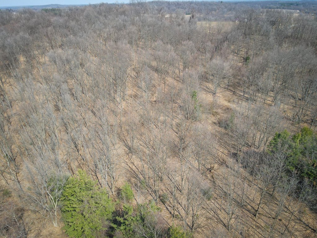 Picture 17