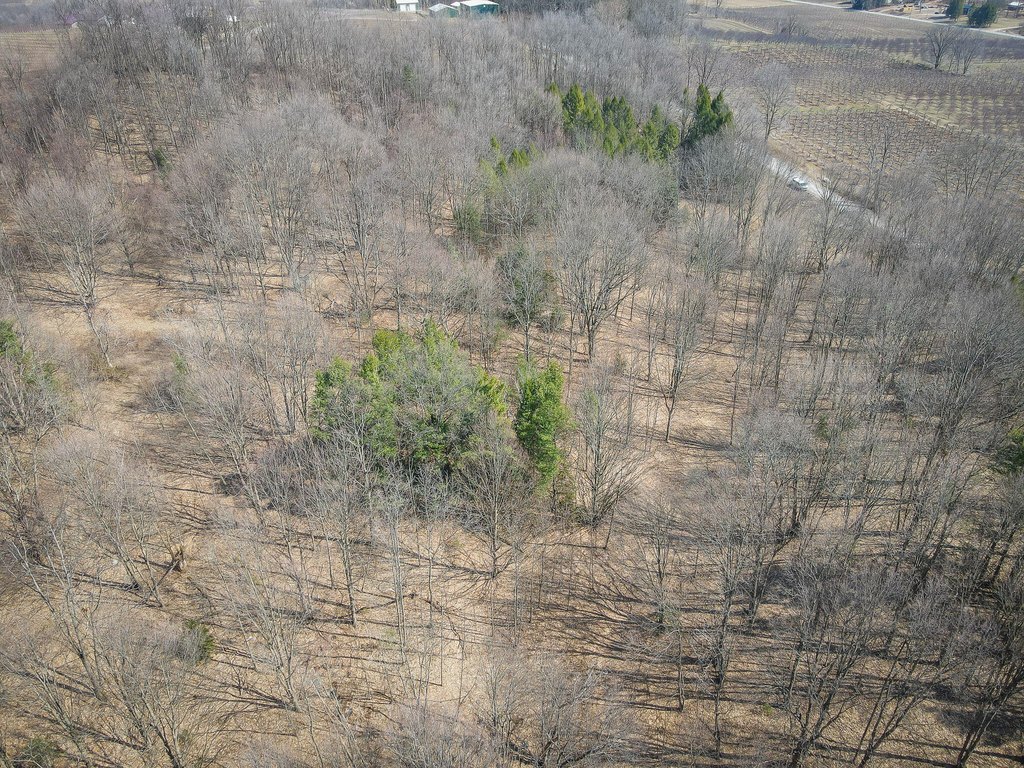 Picture 18