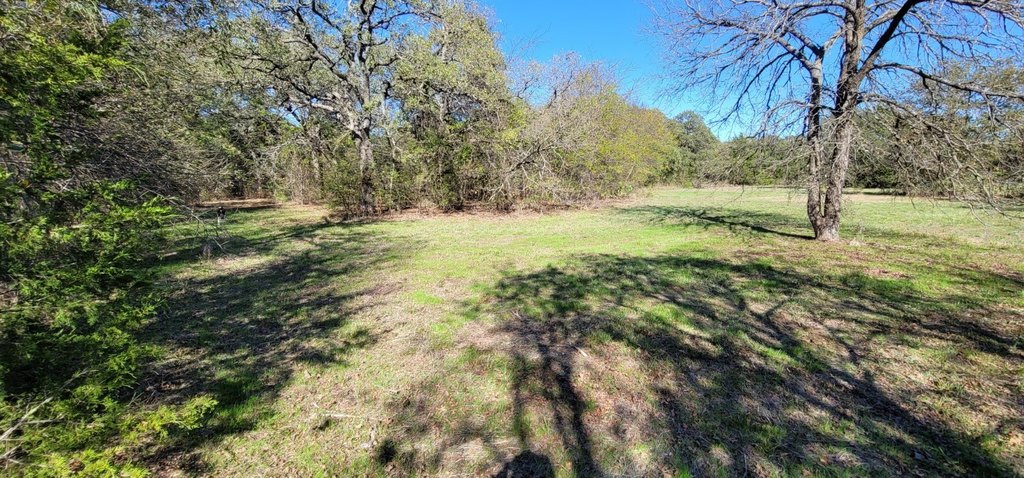 Picture 10