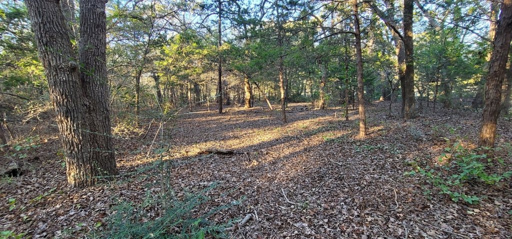 Picture 11