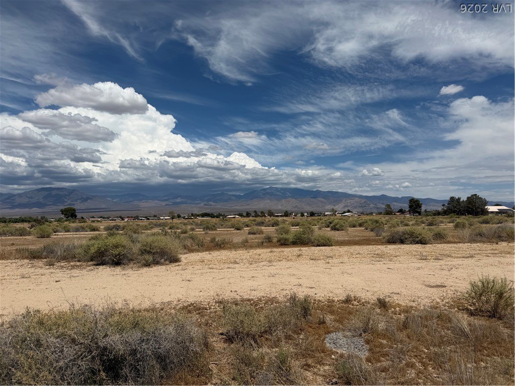 Picture 8