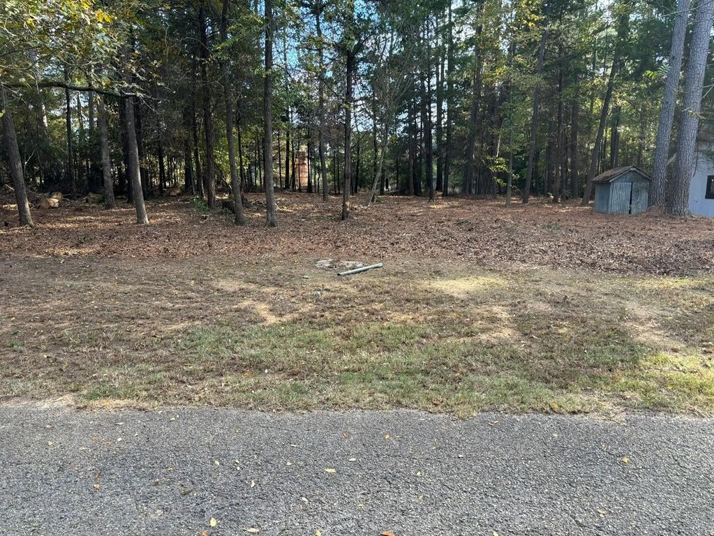 Picture 5