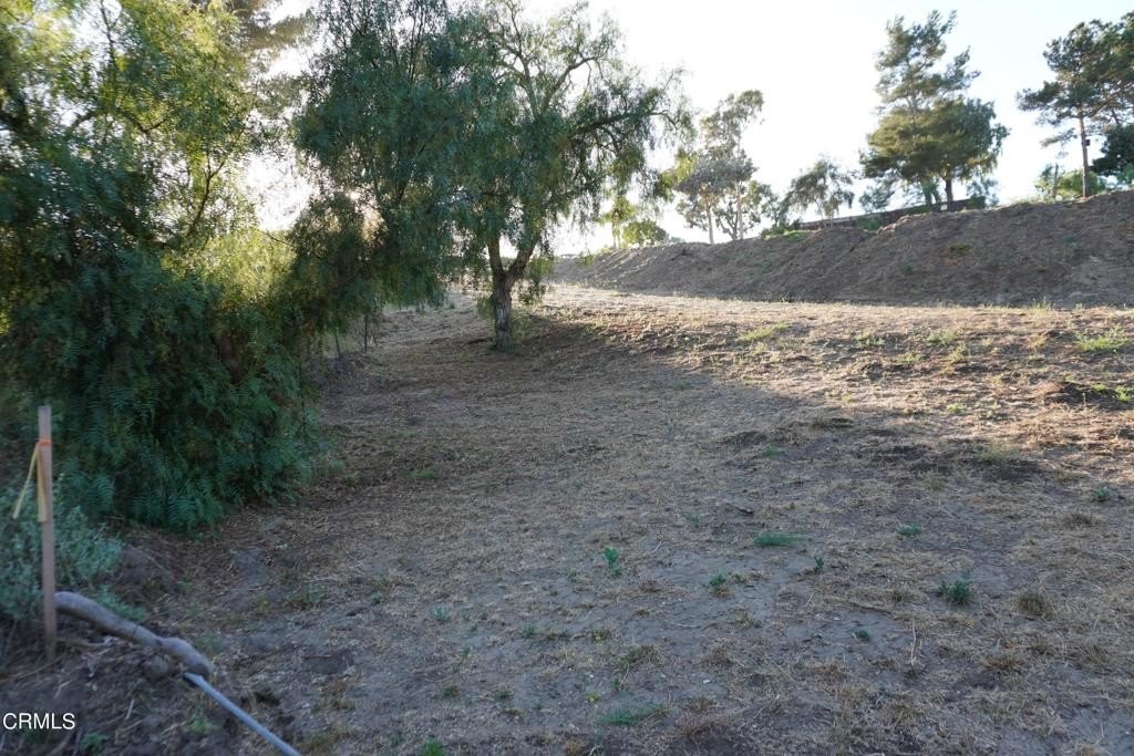 Picture 25